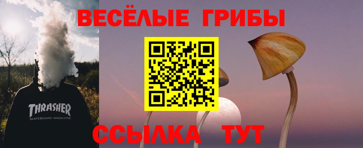 Черняховск  Галлюциногенные грибы Cubensis  Вход с VPN  Псилоцибиновые грибы ЛСД 