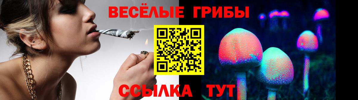 Галлюциногенные грибы мицелий Черняховск