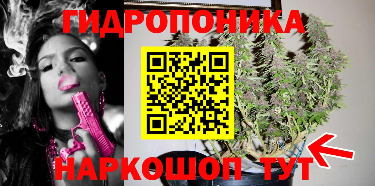 Марихуана конопля  Вход с VPN  Черняховск  Бошки марихуана VHQ  Шишки марихуана Ganja  МАРИХУАНА OG Kush 